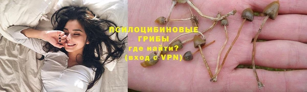 Альфа ПВП Алексеевка