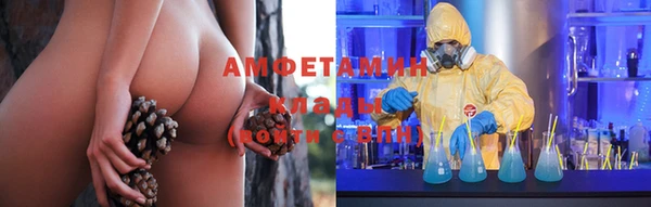 молекула духа Алзамай