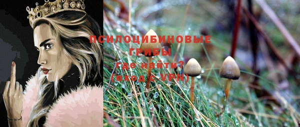 наркотики Алексин